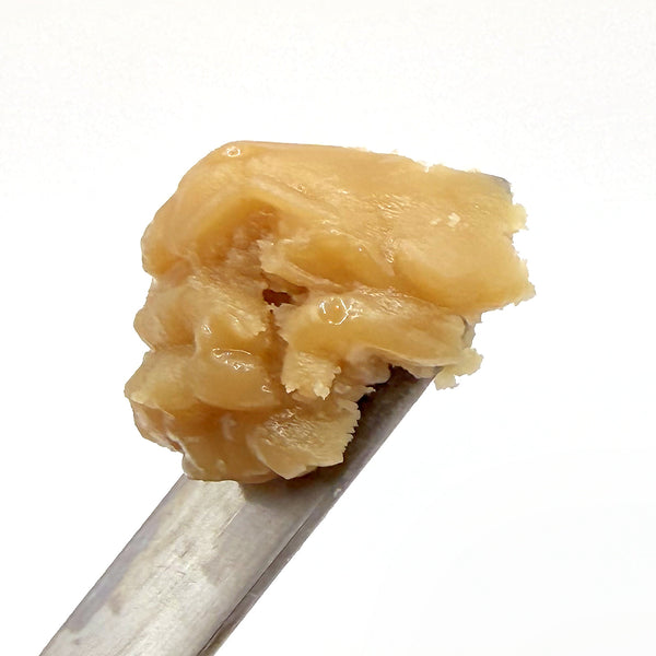 Grape Lobster (Select Wash)