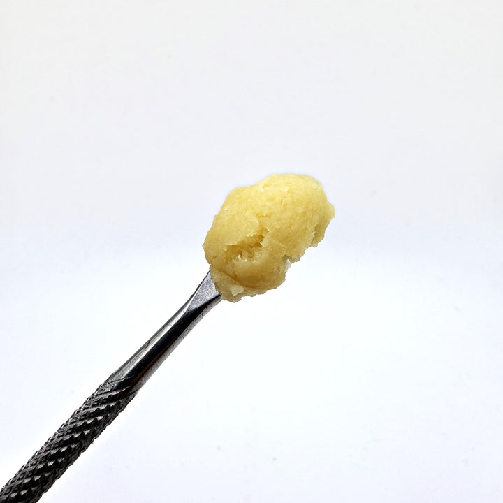 Jungle Runtz (Live Resin Badder)