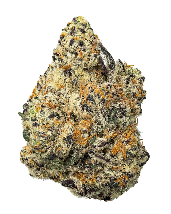 Master Kush by Rosslyn Direct