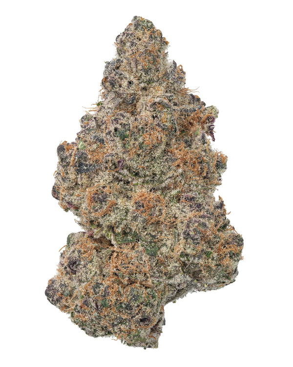 Super Boof by Rosslyn Direct