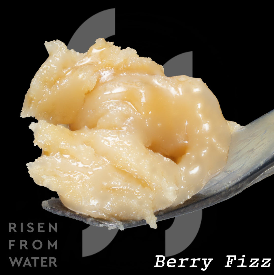 Berry Fizz (Craft Wash) - Rosslyn Direct