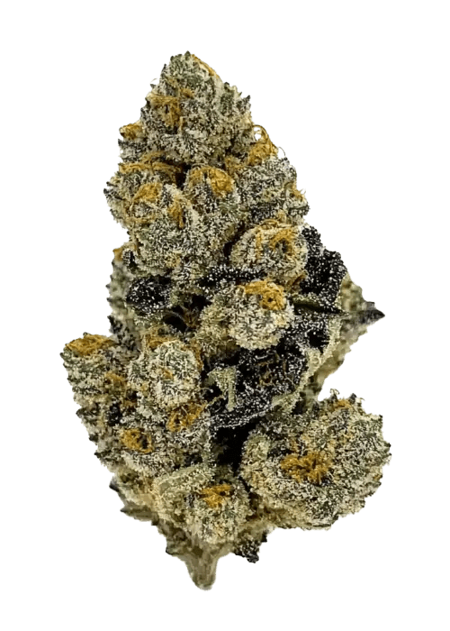 Dior Runtz Strain THCA Flower — 30.98% THCA - Rosslyn Direct