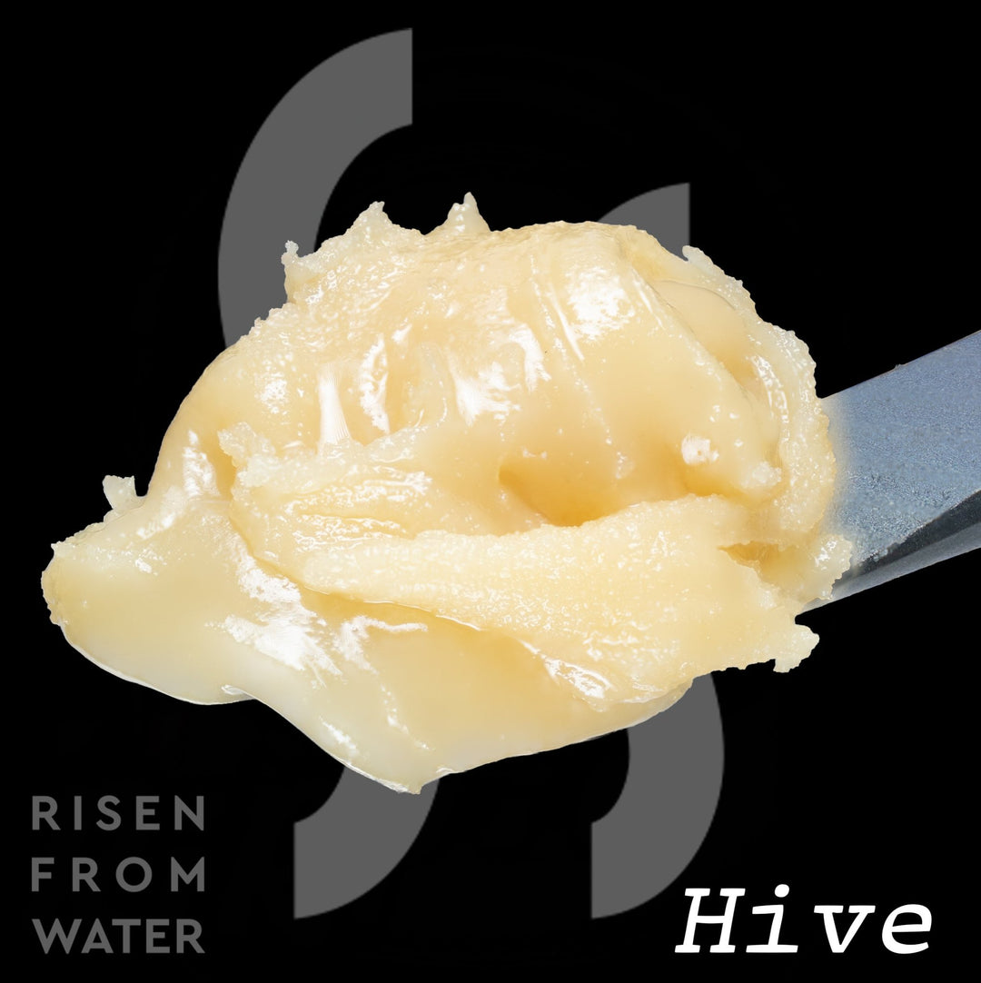 Hive - Rosslyn Direct