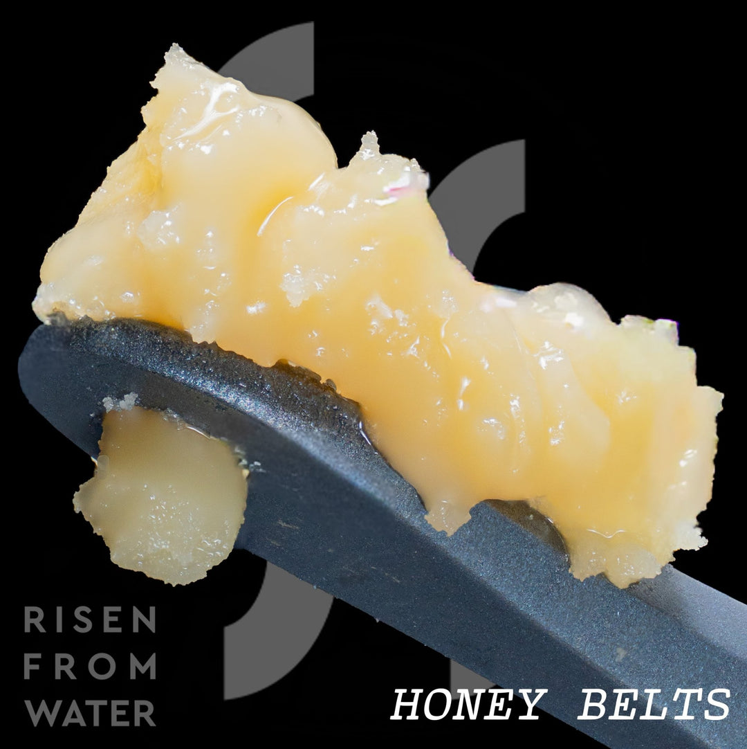 Honey Belts (Select Wash) - Rosslyn Direct