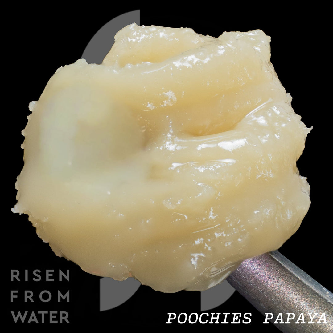 Poochies Papaya (Reserve Wash) - Rosslyn Direct