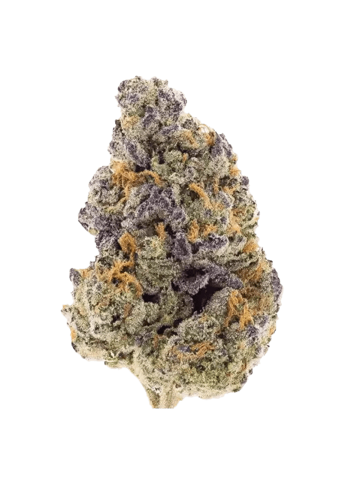 Rainbow Pushpop THCA Flower - Rosslyn Direct